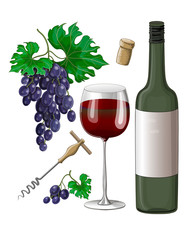 Obraz premium Stock vector illustration. Set. Drawn 2 clusters of blue grapes, a bottle and a glass of red wine, a corkscrew and a cork from wine. Illustration isolated on white background