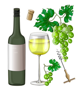 Stock vector illustration. Set. Drawn 2 clusters of green grapes, a bottle and a glass of white wine, a corkscrew and a cork from wine. Illustration isolated on white background