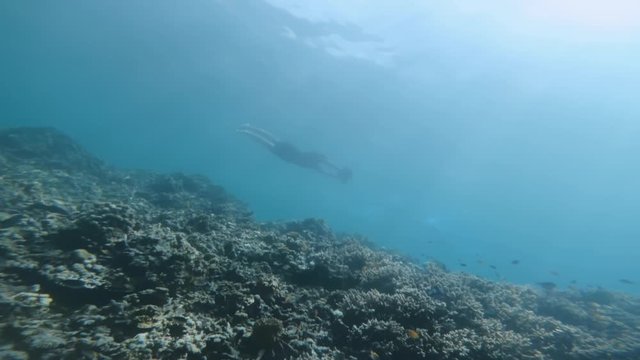 Guy tourist riding seabob underwater in tropical area