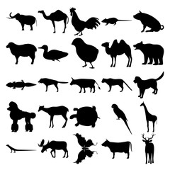 Set of 25 animals. Elephant, Rooster, Rat, Pig, Sheep, Duck, Chick, Camel, Bear, Gecko, Wolf, Dog, Poodle, Deer, Turtle, Parrot, Giraffe, Lizard, Moose, Butterfly, Cow, Elk.