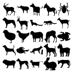 Set of 25 animals. Elephant, Donkey, Mite, Marten, Fisher, Chicken, Sheep, Deer, Frog, Owl, Fox Family, Chihuahua, Dogs, Cow, Rabbit, Wolf.