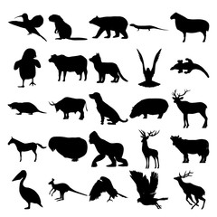 Set of 25 animals. Colibri, Beaver, Bear, Lizard, Sheep, Fox, Crow, Komodo Dragon, Mole, Bull, Dog, Hippo, Elk, Zebra, Chick, Gorilla, Cow, Pelican, Kangaroo, Goshawk, Deer.