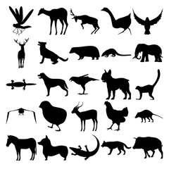 Set of 25 animals. Dragonfly, Goose, Goshawk, Deer, Badger, Coati, Elephant, Lizard, Falcon, Lemur, Crow, Chick, Antelope, Chicken, Opossum, Zebra, Corgi, Crocodile, Dog, Boar.