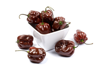 brown habanero chili peppers, isolated on white