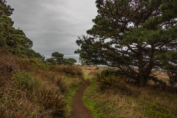 Fototapeta premium Path along the California coastline