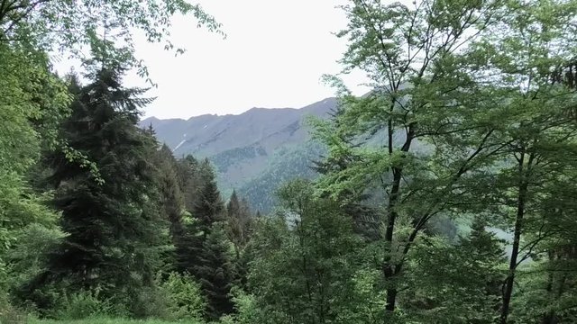suoni colori del paesaggio prealpino