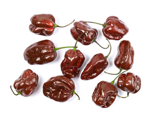 brown habanero chili peppers, isolated on white