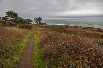 Path along the California coastline