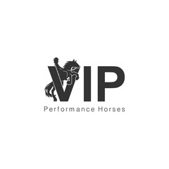 Horse Race Logo Design . Reining Horse Equestrian Logo	