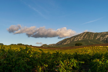 Arrabida