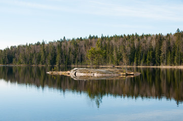 Island in the lake. Trees reflected in the calm waters of a forest lake. Wild nature. Natural background. Blue sky over forest and lake. 