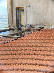 colombi su casa disastrata