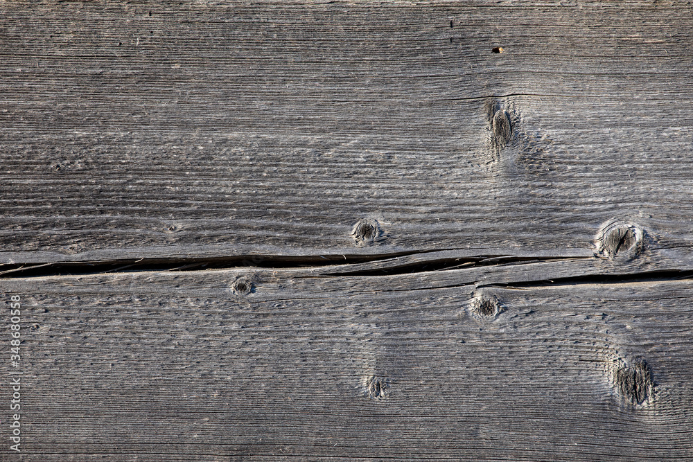 Wall mural texture of the gray tree background. natural old wood with a crack . blank for design.