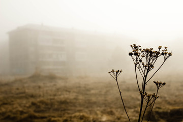 Obraz na płótnie Canvas городской пейзаж в тумане