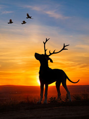 silhouette of a great dane with antlers looking at birds in the sky