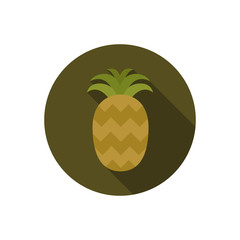 pineapple vector icon