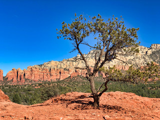 Red rocks of Sedona, Arizona, USA