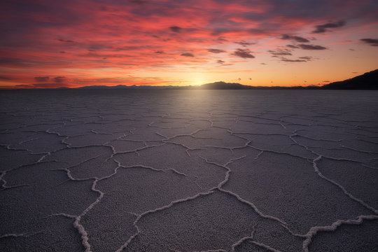 Salt polygons.