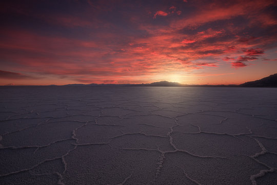 Salt polygons.