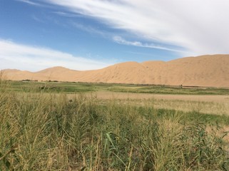 Desert Sand Dunes