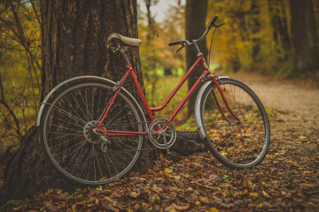 Fototapeta na wymiar Side photo of old vintage bicycle leaning on a tree in a park between leaves trees and other foliage. Concept of outdoor activities or commuting during a romantic season.
