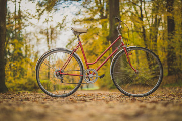 Fototapeta premium Side photo of old vintage bicycle parked on a path in a park between leaves trees and other foliage. Concept of outdoor activities or commuting during a romantic season.