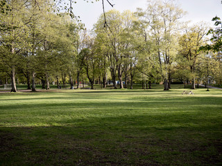 city park field in spring