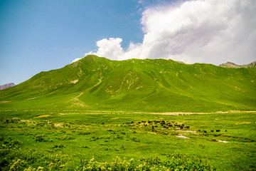 High and green mountains of Georgia. Sunny summer, blue sky. Horizontal landscape.