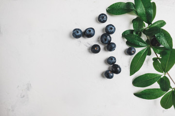 Fresh juicy blueberries in a white plate with green leaves on a white background. 