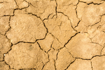 Dry cracked earth texture