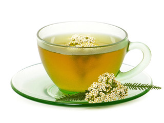 Yarrow tea in a glass cup with fresh yarrow flowers © emilio100