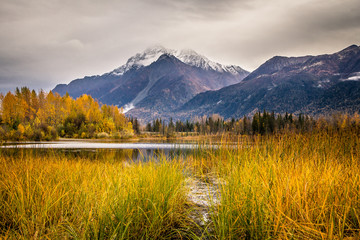 Alaska lake and grass nestled in the mountains. - obrazy, fototapety, plakaty