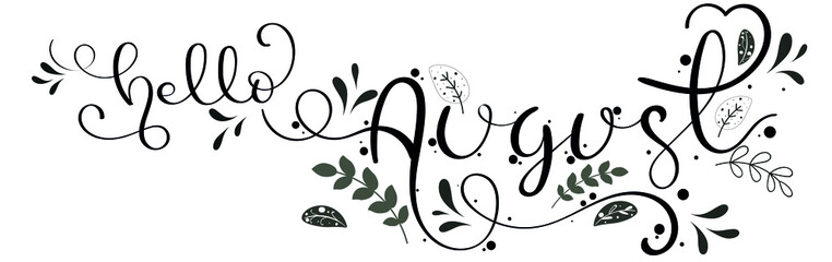 Hello August. AUGUST month vector with ornaments and leaves. Decoration floral. Illustration month August