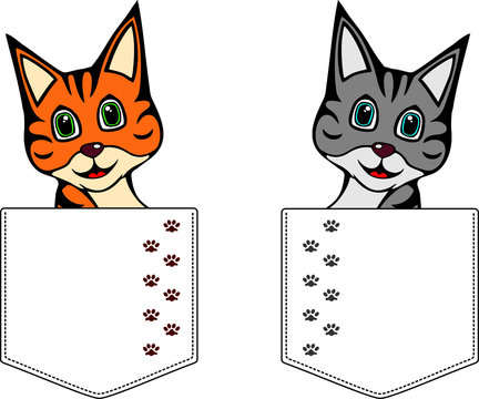 Cat in cartoon style. Pocket for print. Vector template for design T-shirts. Fashion graphic for apparel. Character image cat for children