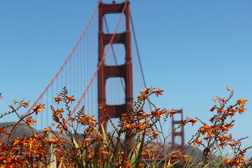 red bridge with closeup of some beautiful flowers