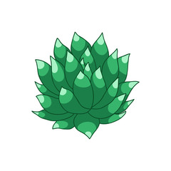 succulent doodle icon