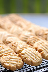 A Rack Of Fresh Peanut Butter Cookies