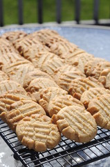 A Row of Fresh Peanut Butter Cookies