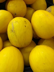 yellow melons in a market