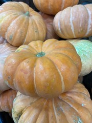 pumpkins on a market