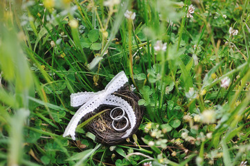 Nest with fine silver wedding rings on green grass with clovers.