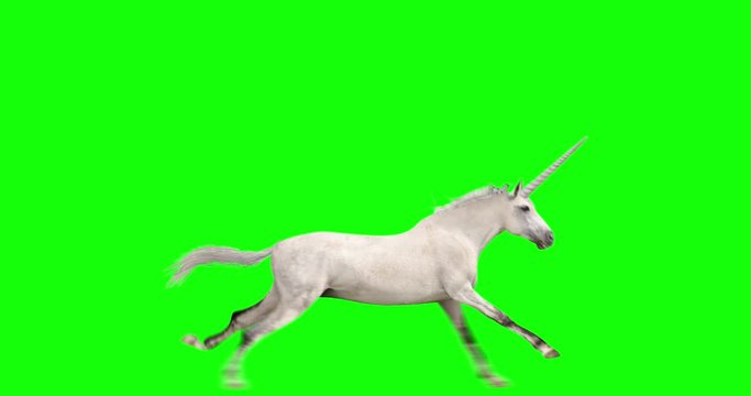 White unicorn with several looping actions. Includes kick, buck, run, jump, canter, rear up, and several seconds of grazing (not loopable) 