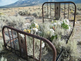 Antique Rusty Bed Frame Sage and Flowers