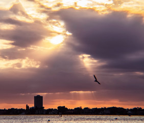 sunset over the city, sky, clouds, cloud, orange, evening, landscape, skyline, bird, flying, rays, beautiful, Sarasota, Florida