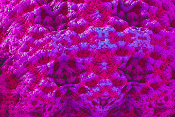3D render. Fractal image of a 3D object. Fractal landscape. A colorful computer-generated image. The fractal background. Textures for the design. Abstract painting. Pattern.