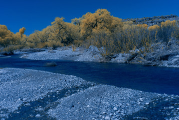 Infrared photo of the Mimbres river, S.W. New Mexico.