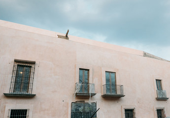 Fototapeta na wymiar facade of a pink building