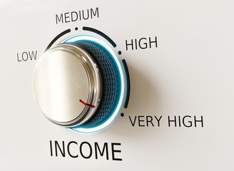 A Knob Labeled "Income" set to "Very High" on a White Background