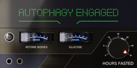 A Stereo-like Panel Displaying "Autophagy Engaged" and a Knob Labeled "Hours Fasted" set to 36
