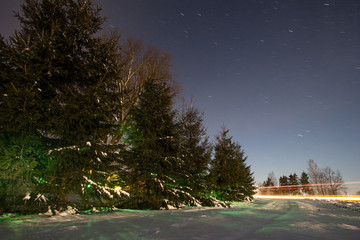 Snowy spruce trees with stars in the sky